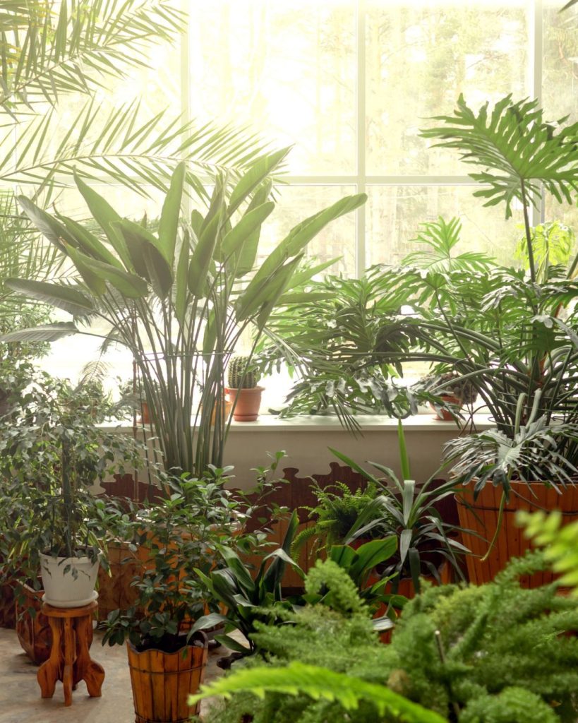 🌿 Ogród Botaniczny